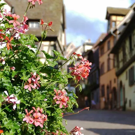 L'agape Lejlighed Riquewihr