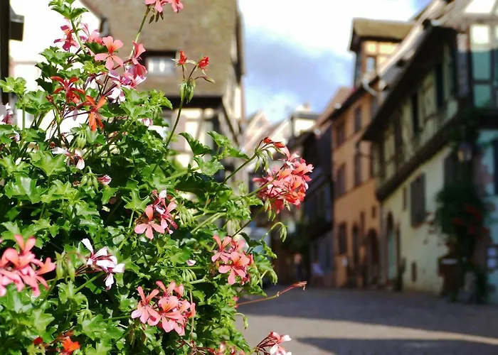 L'agape Apartamento Riquewihr
